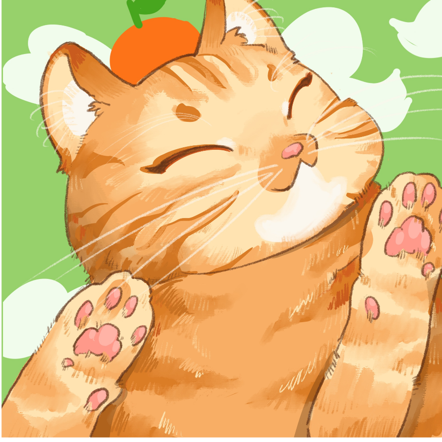欧气猫猫