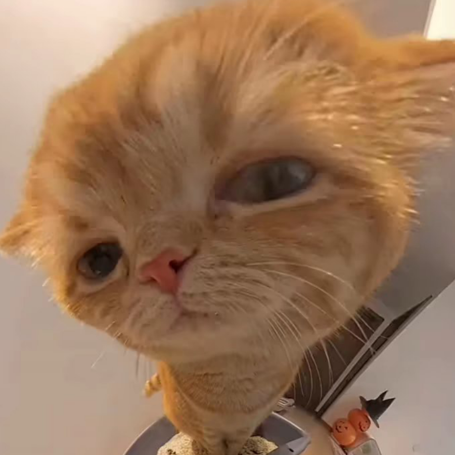 小优