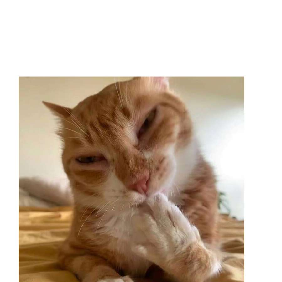 。。