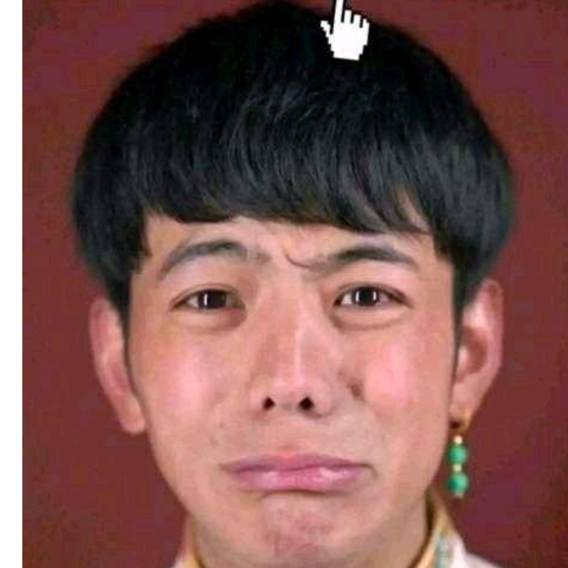 relx代言人 理塘丁真