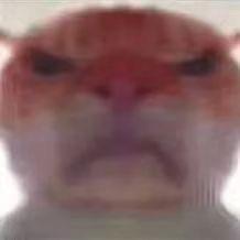 我是狗