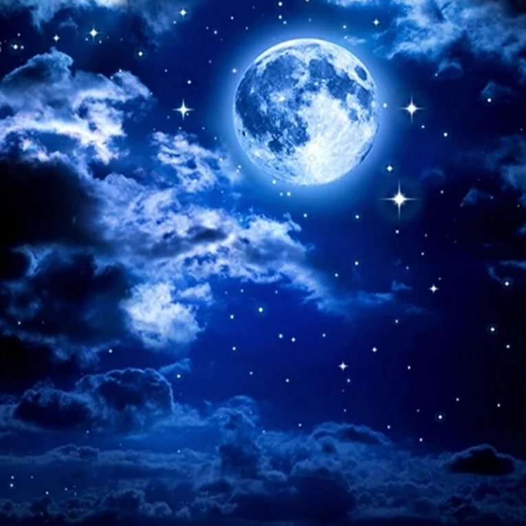 细雨郁竹荡清风