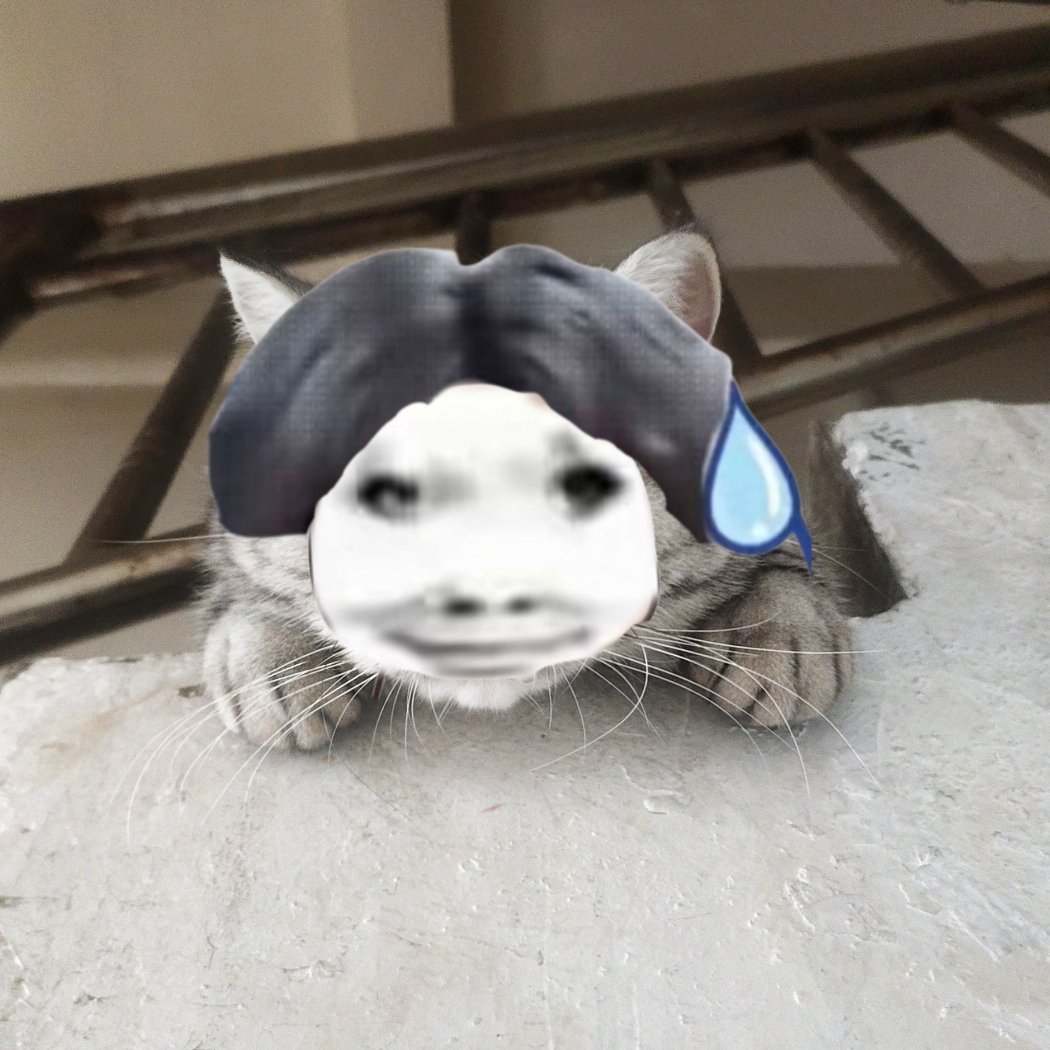 柚