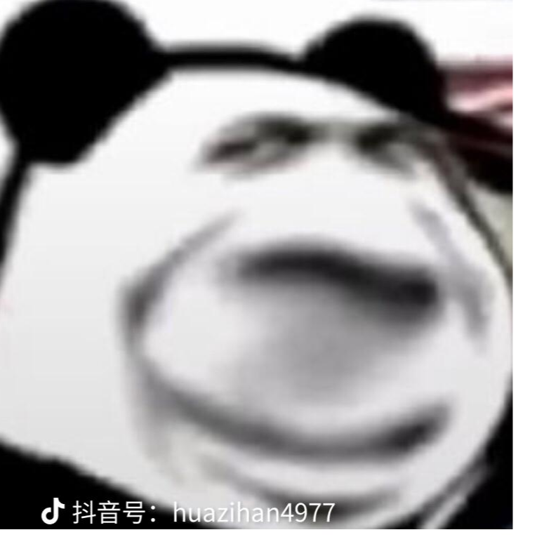 泉哥的快乐生活