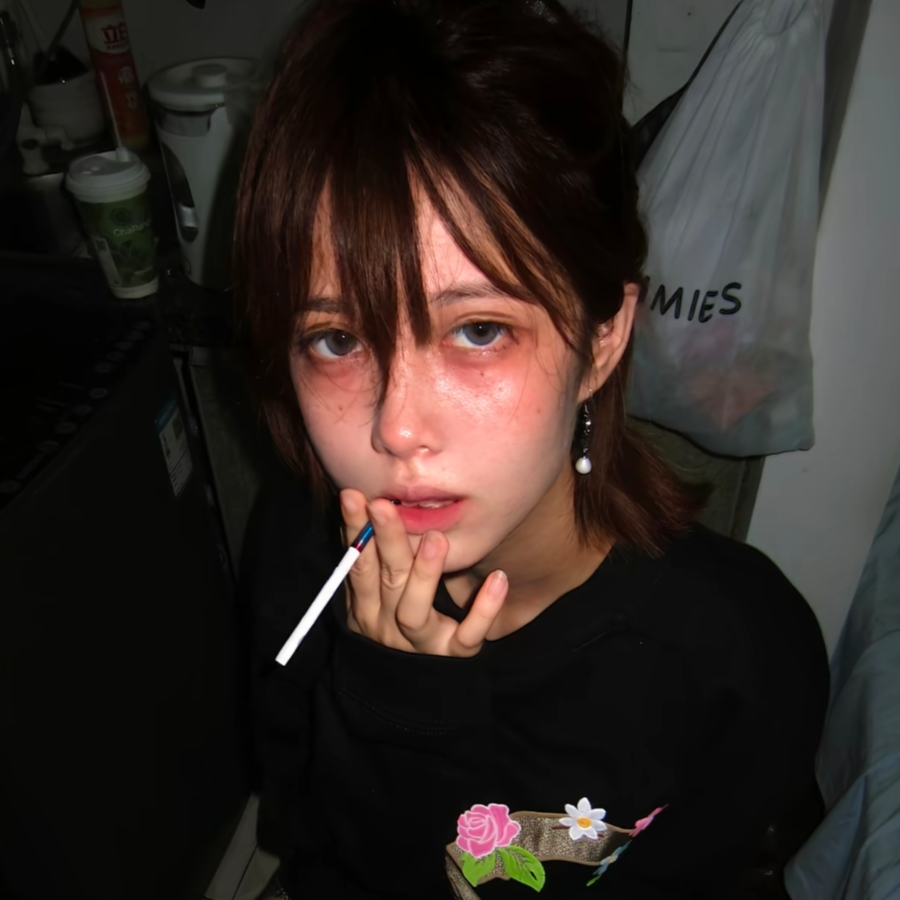 吴迪达鲜葱