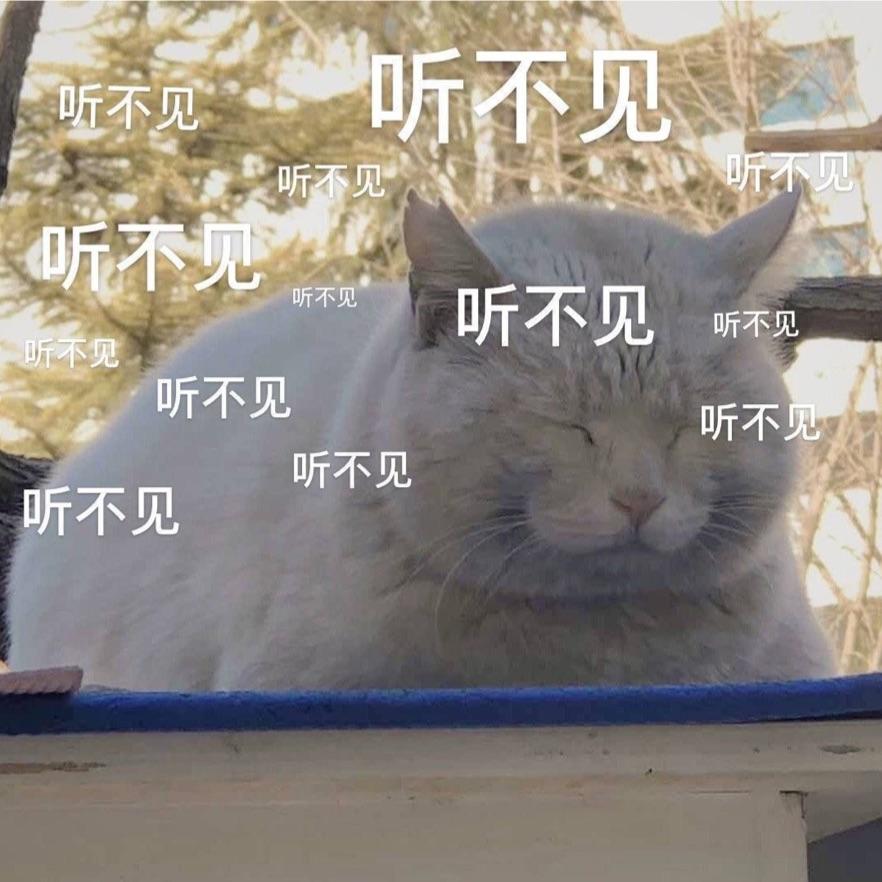 什么蘑菇