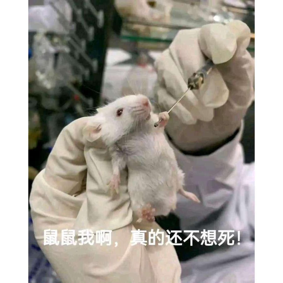 轻吟那一抹忧桑