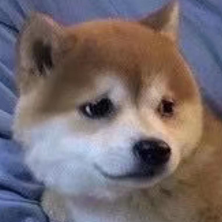我就是你要找的辣个人