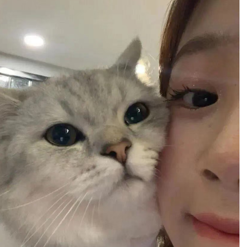 雅雅今天要早睡