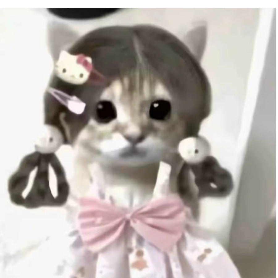 喵