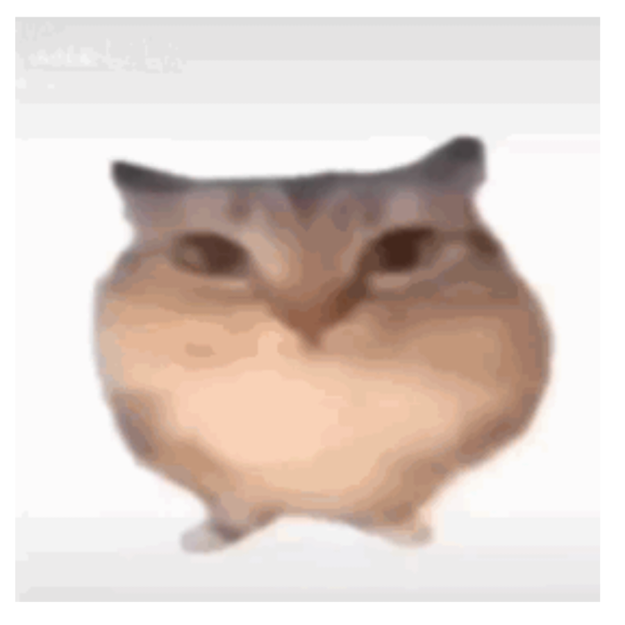 阿环