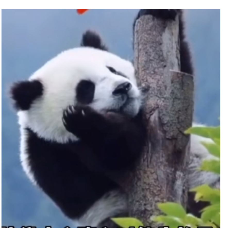 长命