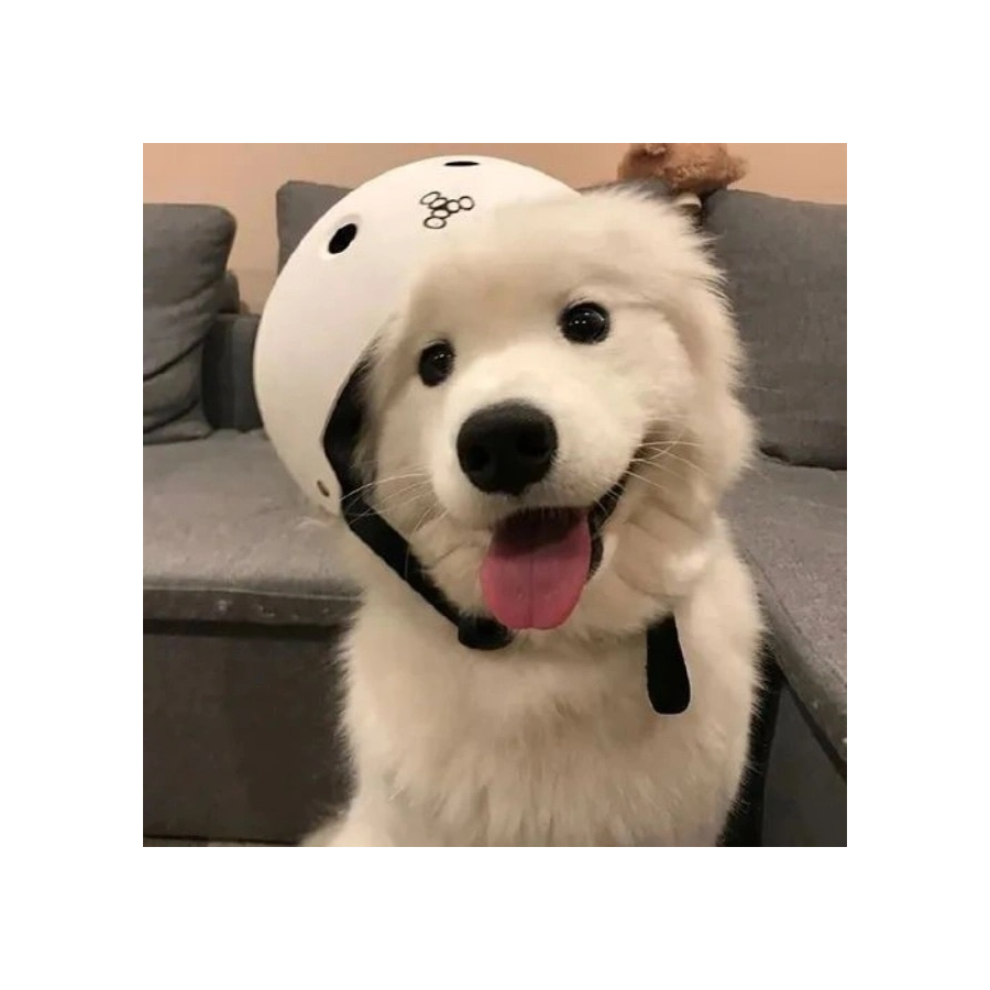 如果