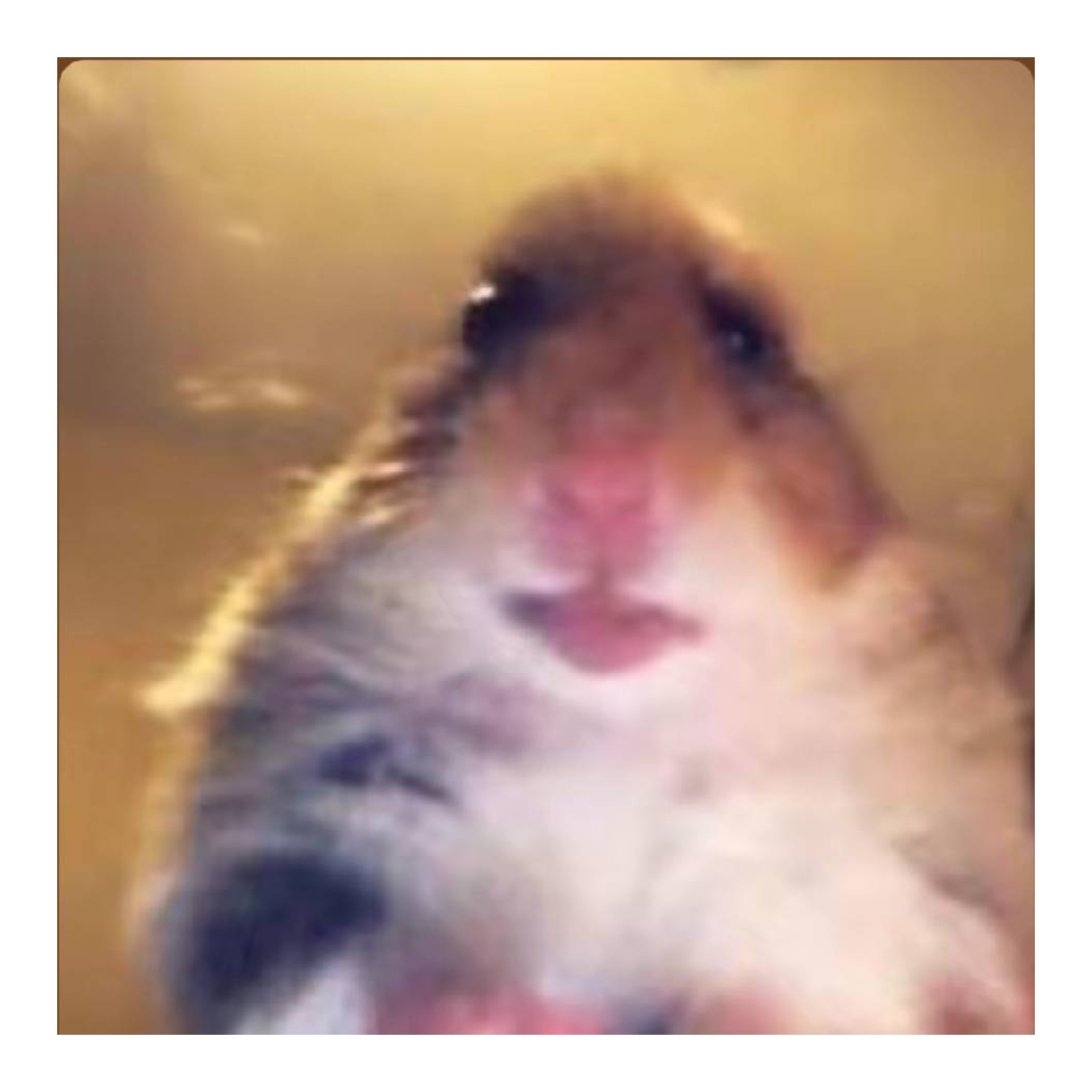 。。。。
