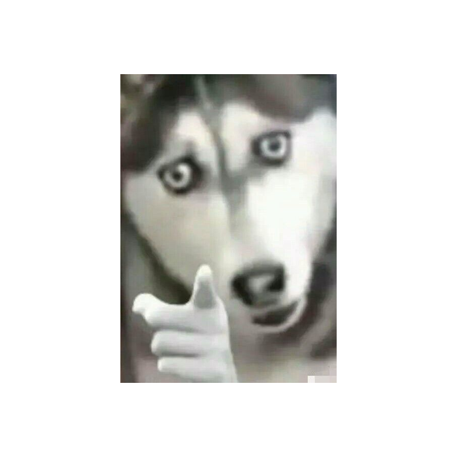 盐渍茵桃的老公