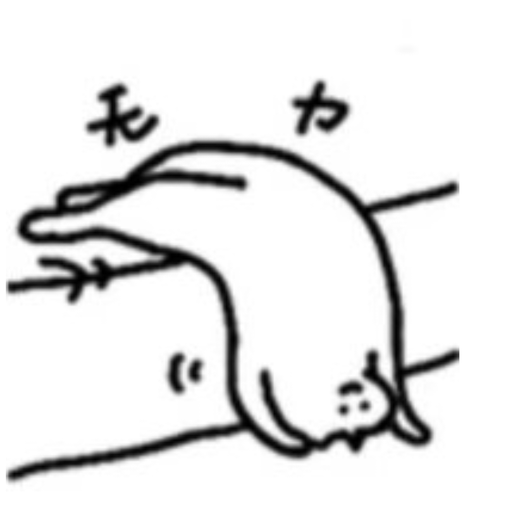 你的名字叫红