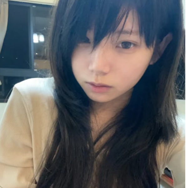 赤葵