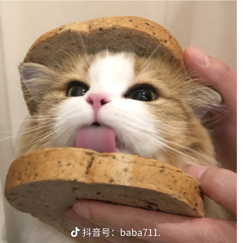 小猪骑飞猪上蓝天