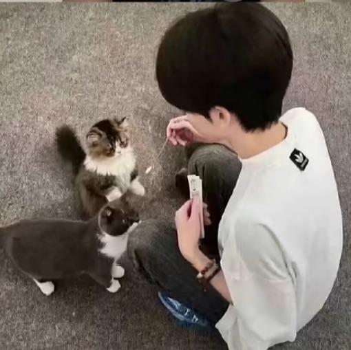 陈