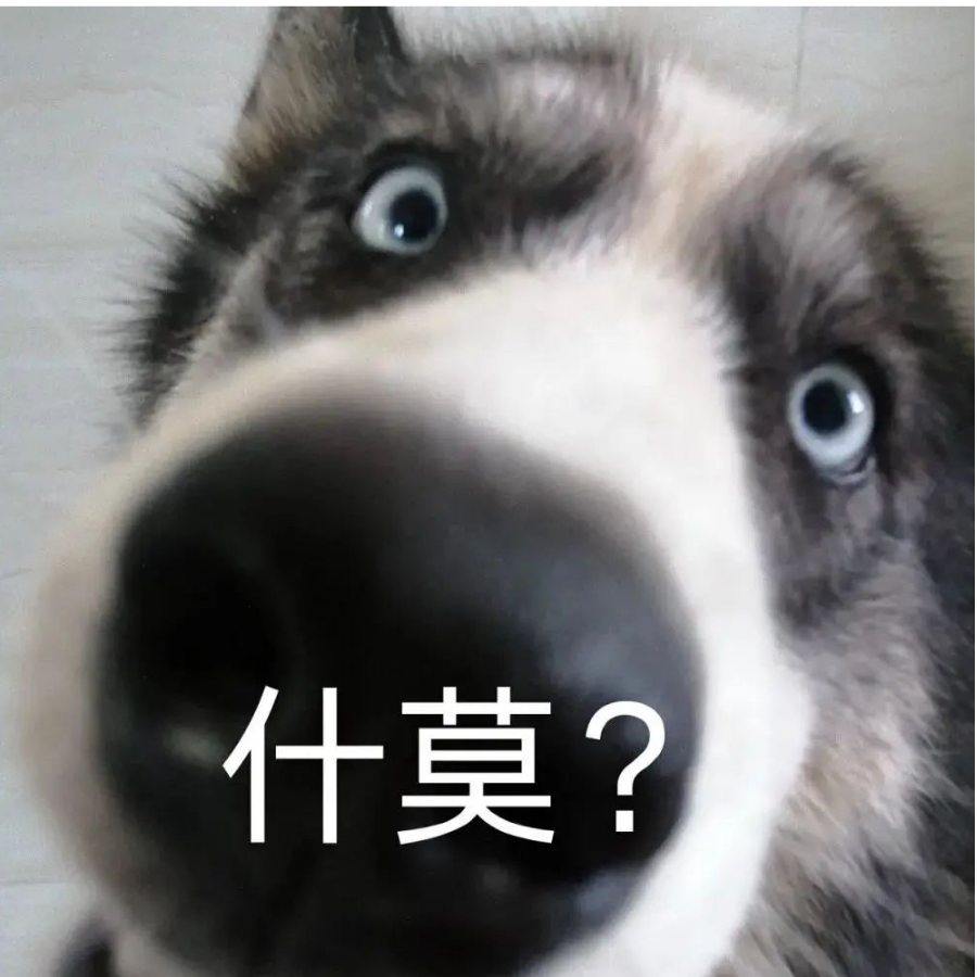 你在玩什么啊