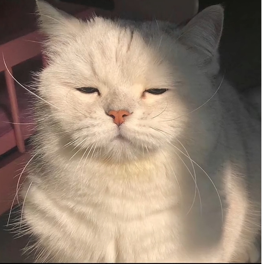 手机用户103432948