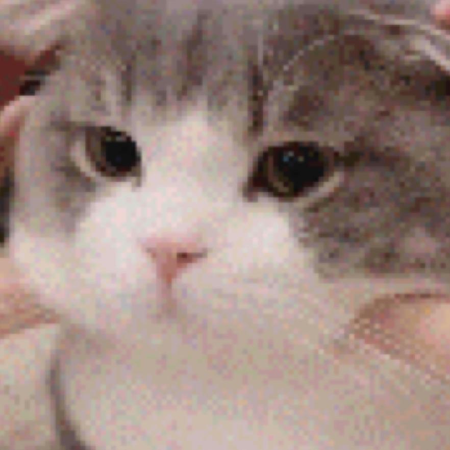 笒
