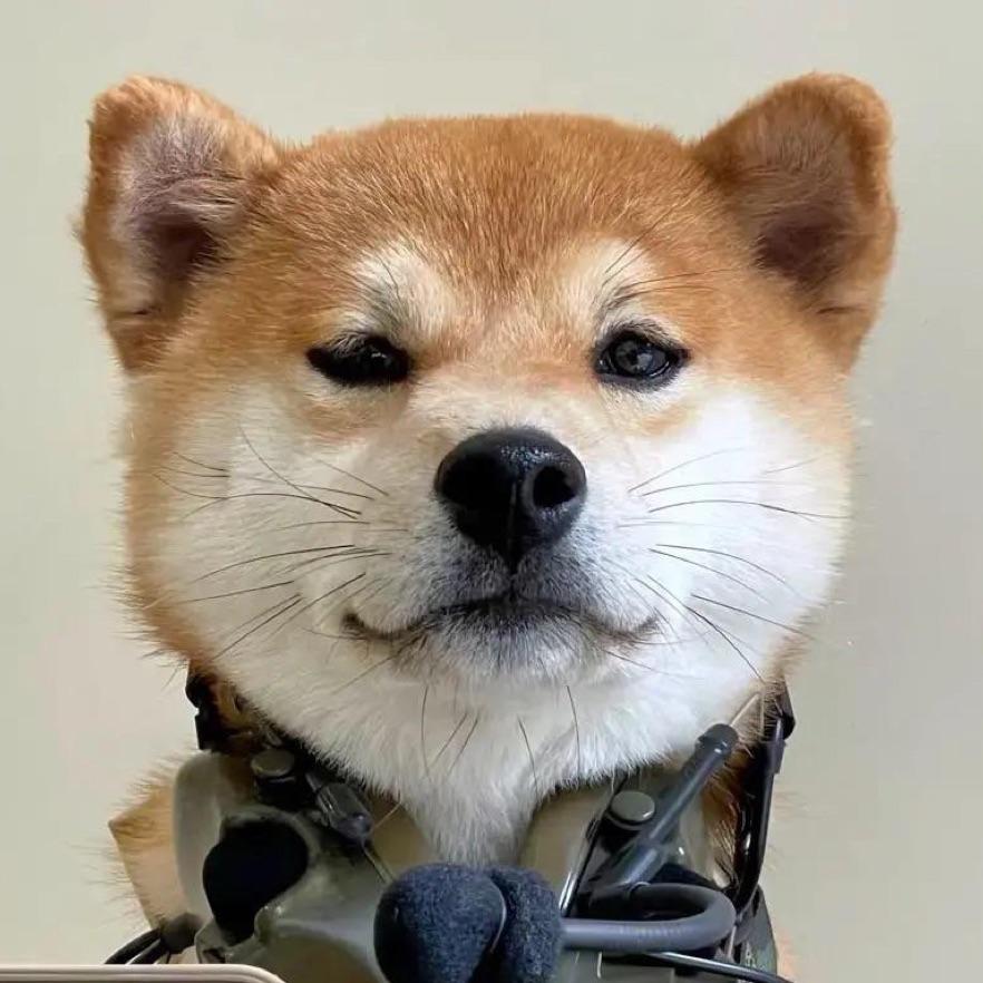 手机用户34312654