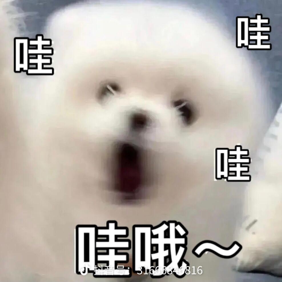 User362696105