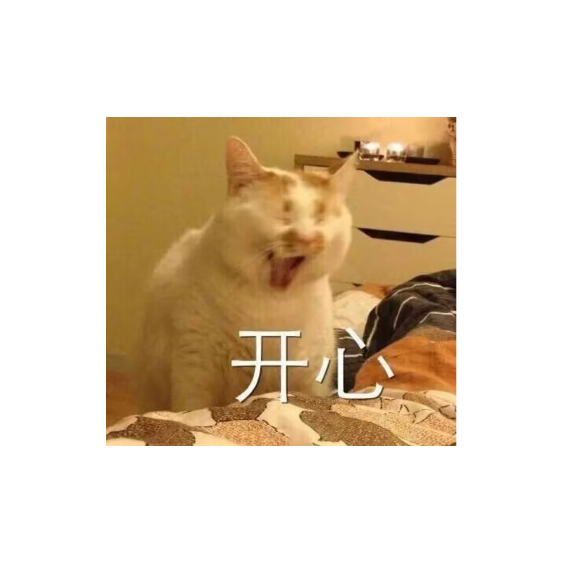 臭猪也是个人物