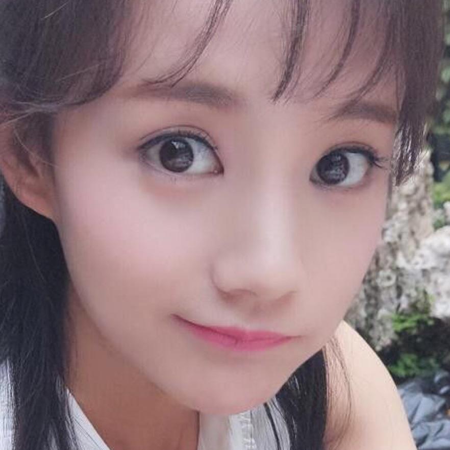 雉子飞
