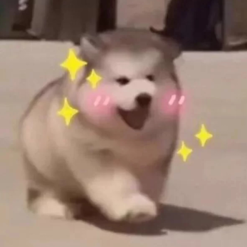 哇哦，是团团诶~嘿嘿😬😬