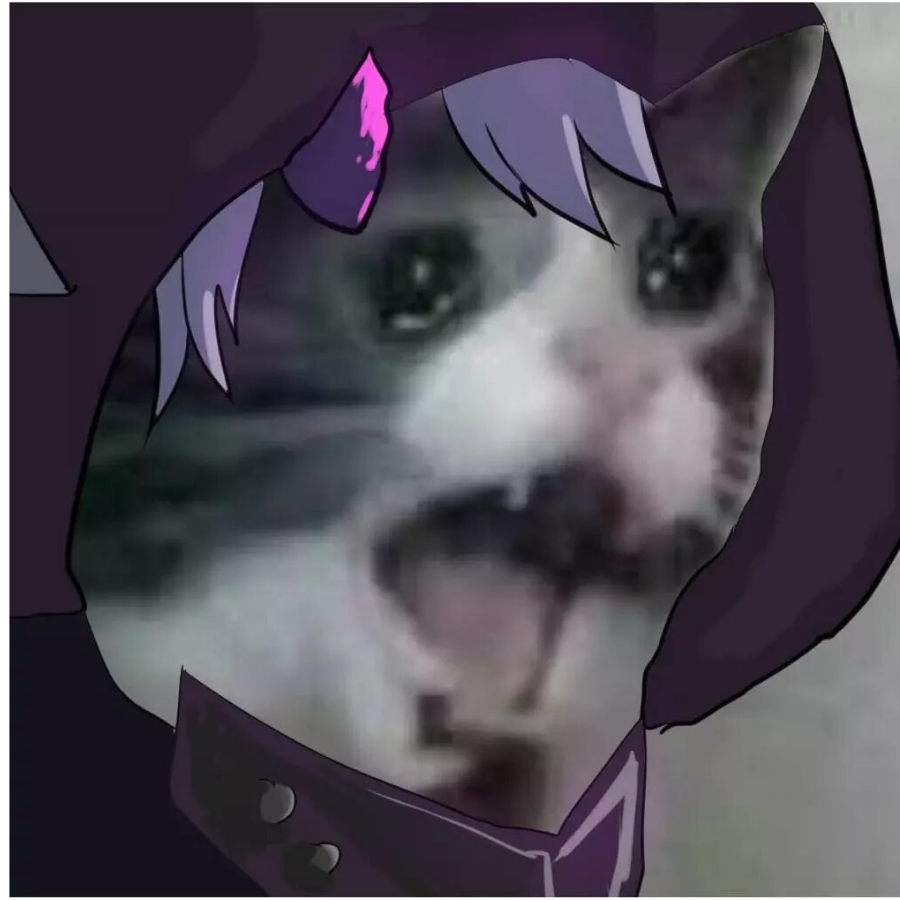 某灰色的jio氏蛛