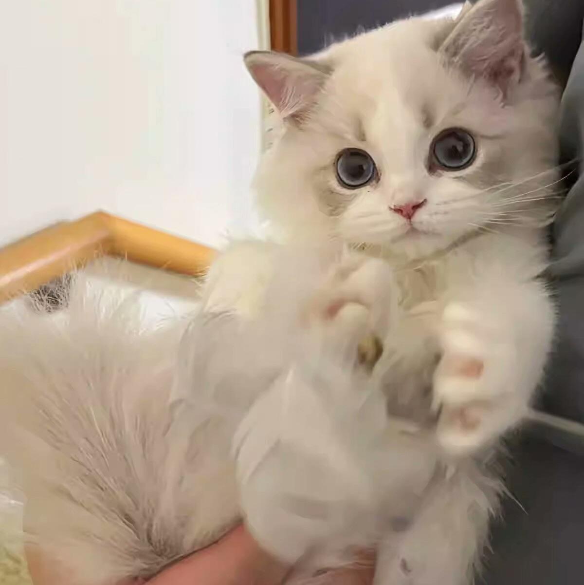 看淡所有