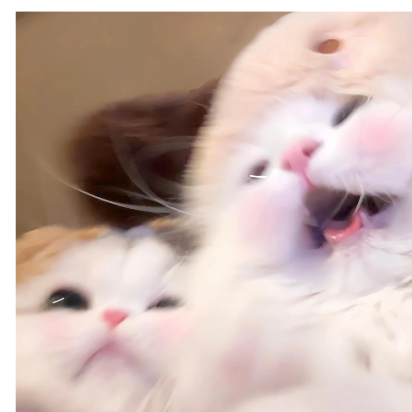 筱筱