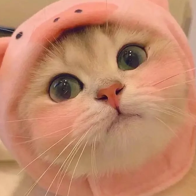 白白