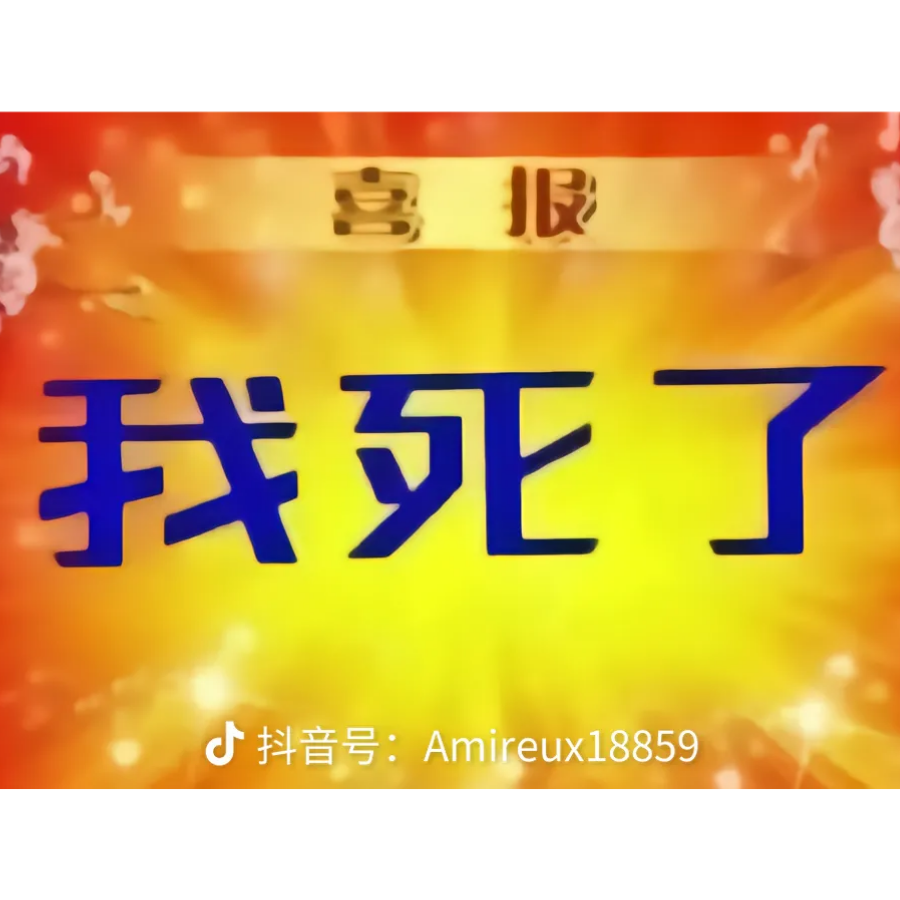 汪汪小哈