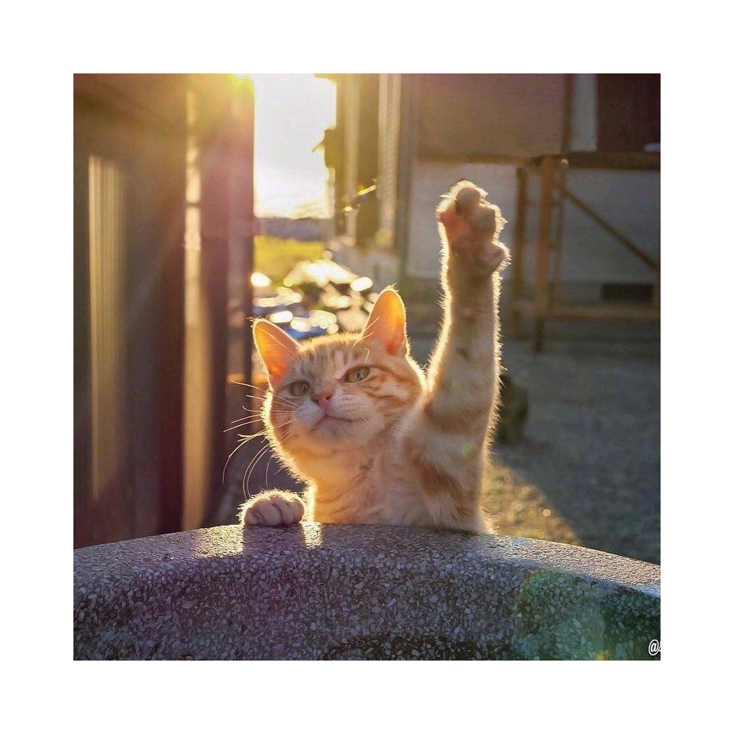 🤩