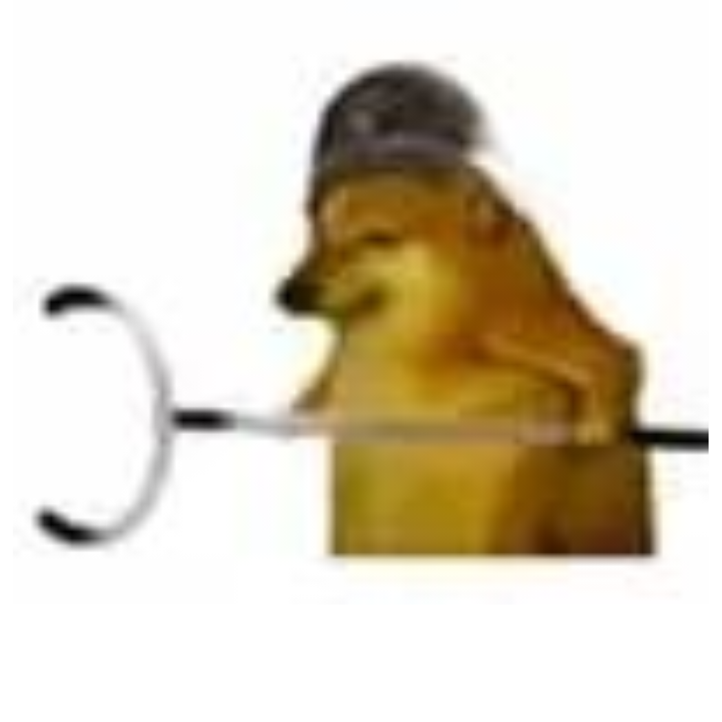 ¿