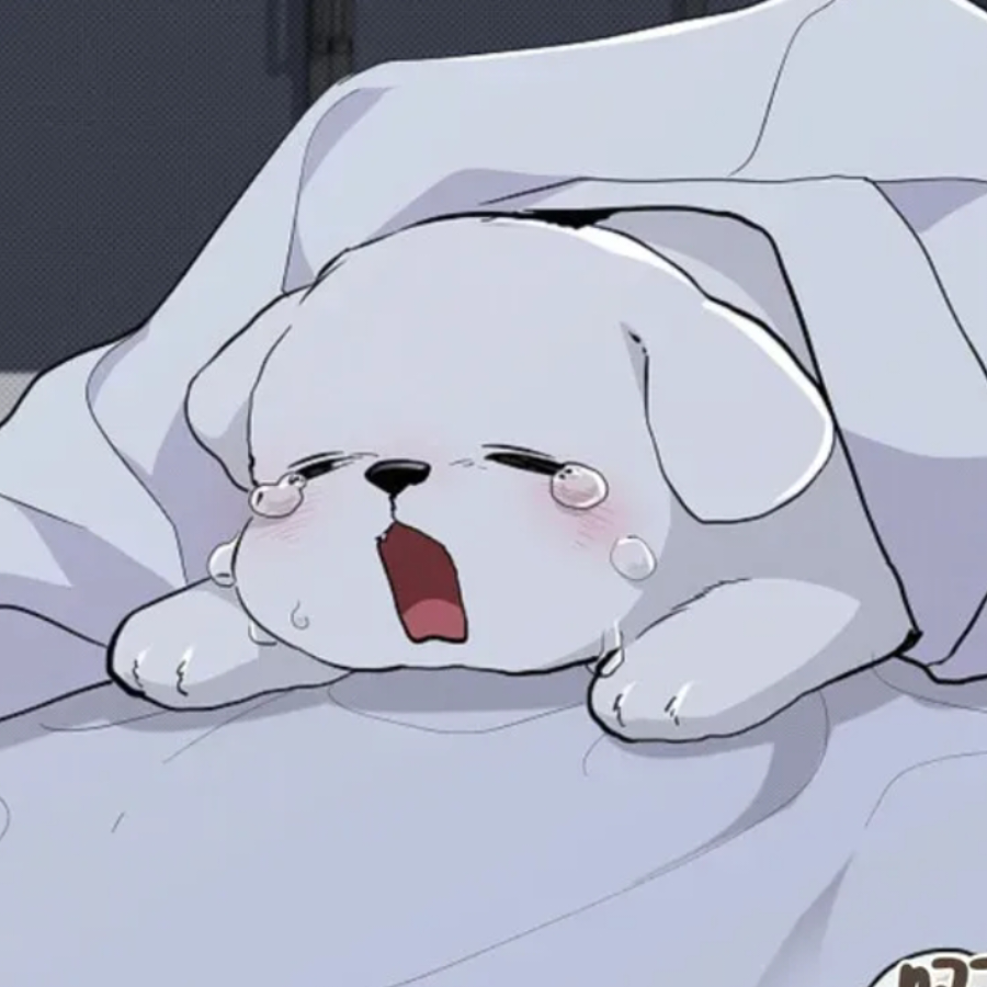 没戏