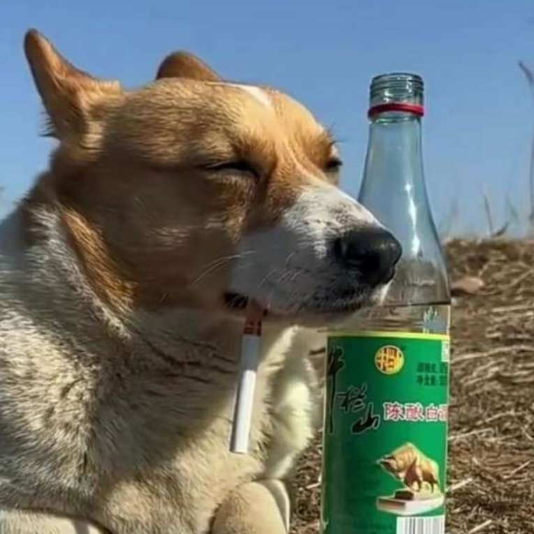 617