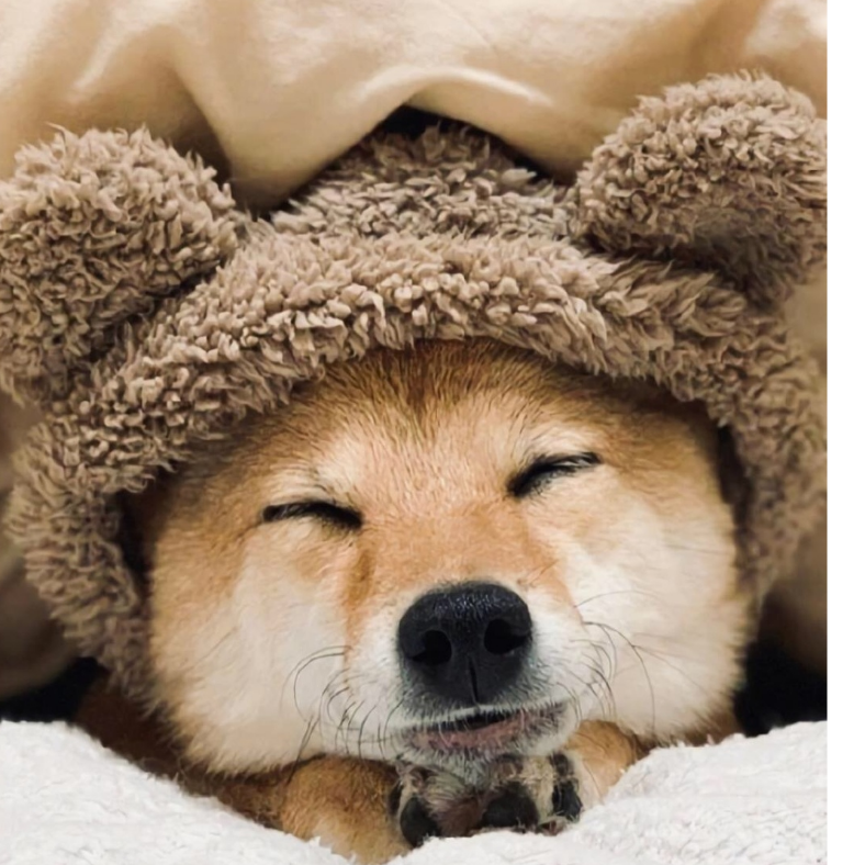 温雨