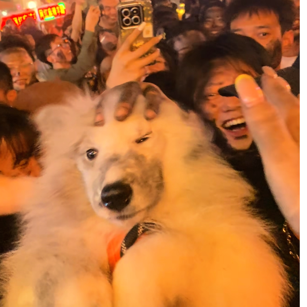 遇春风
