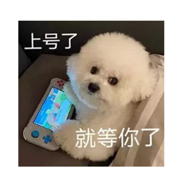 羊了个羊。
