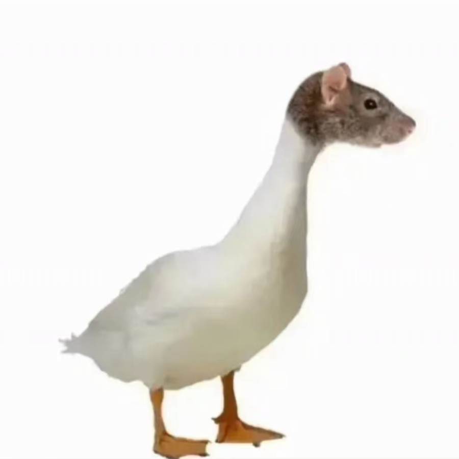 这真是