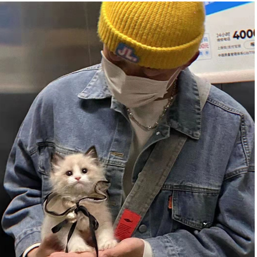 觅仔