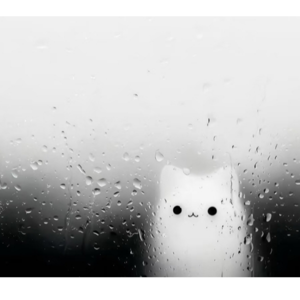 清允