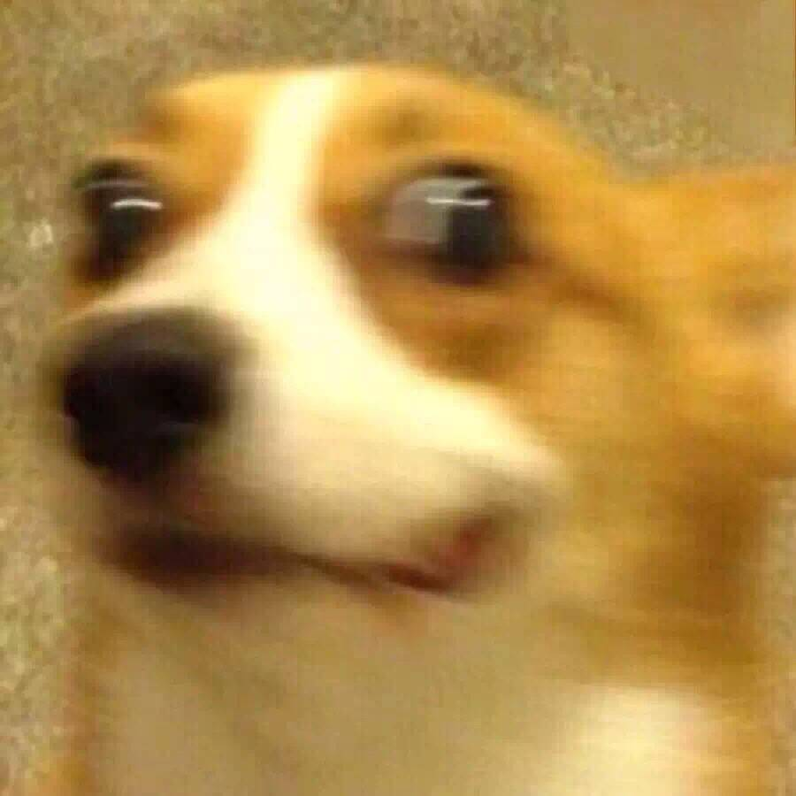 小黑