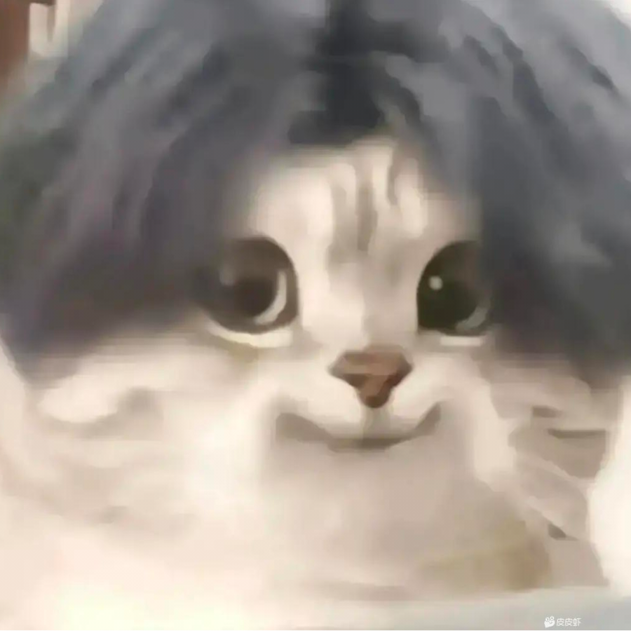 (｢･ω･)｢嘿