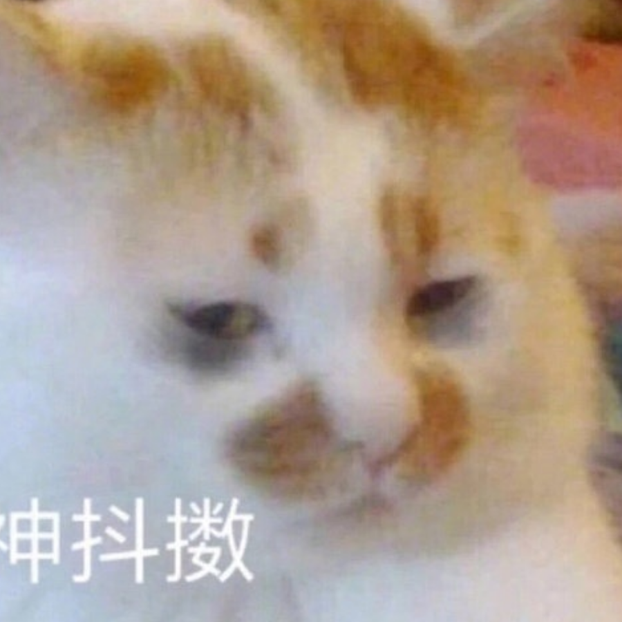 珠圆