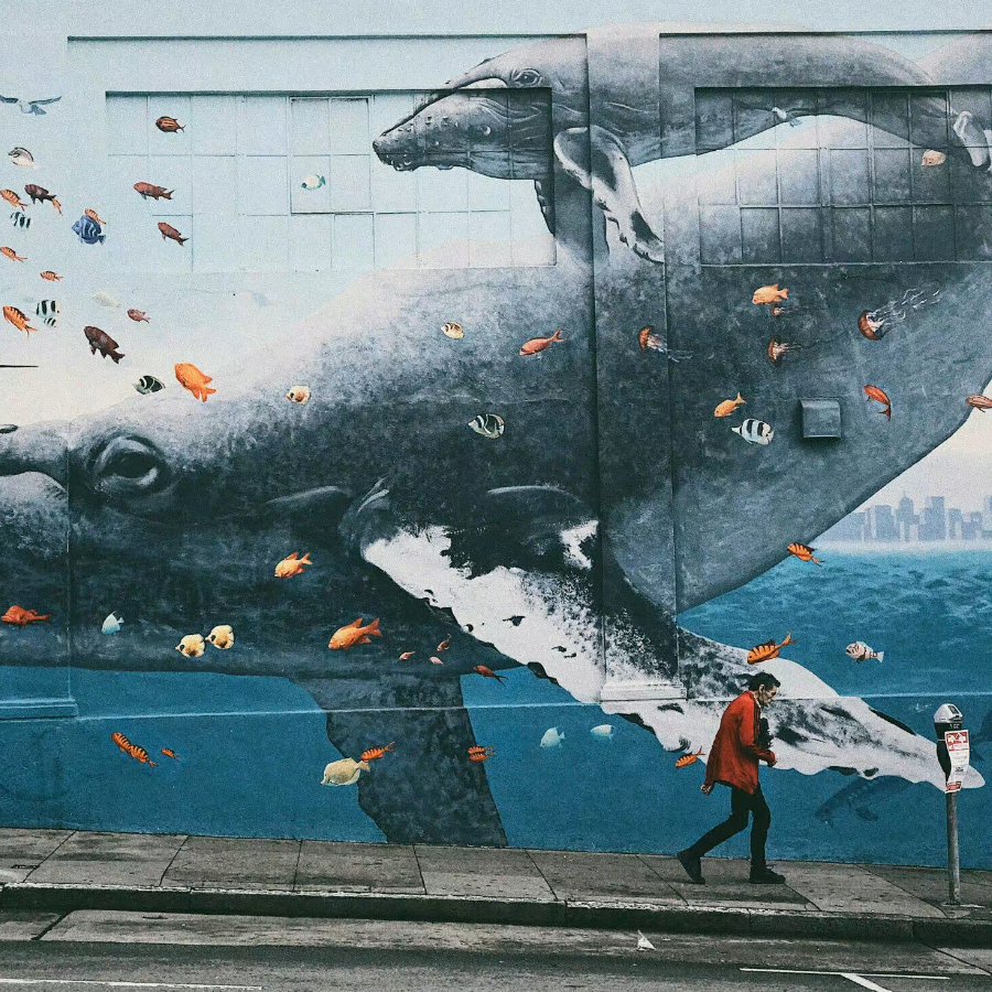 浮游